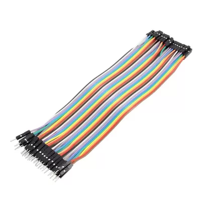 20cm Male TO Female 40Pin Jumper Wires