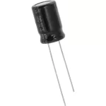 22uF / 16V Electrolytic Capacitor