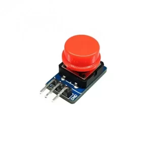 Big Push Button Module