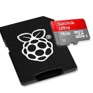 SanDisk Micro SD Card 16 GB for Raspberry Pi